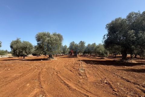 Farm hus i Ostuni, Brindisi, Ostuni - € 85.000 | Ref: 172956 - foto 18